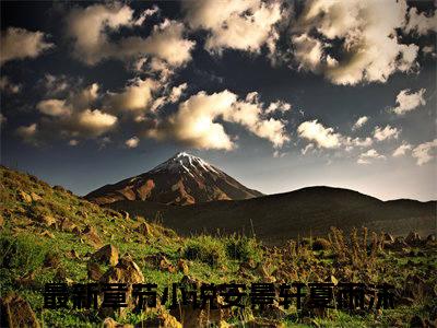 团宠萌宝：四岁小师傅下山了（安景轩夏雨沫）免费阅读无弹窗大结局-安景轩夏雨沫（最新全章节大结局）全文阅读