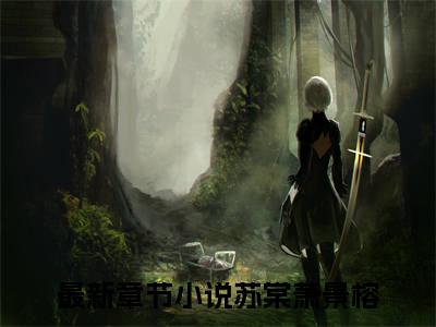 苏棠萧景榕（穿越：嫔妃她集宠爱于一身小说全文）在线阅读无弹窗大结局-苏棠萧景榕全文无删减版阅读