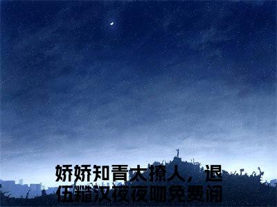 陆晓沈汐（娇娇知青太撩人，退伍糙汉夜夜吻）全文免费阅读无弹窗大结局_（陆晓沈汐）已完结全集大结局小说