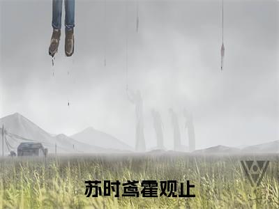 苏时鸢霍观止（苏时鸢霍观止）小说全文免费阅读正版无弹窗_(苏时鸢霍观止)最新章节列表