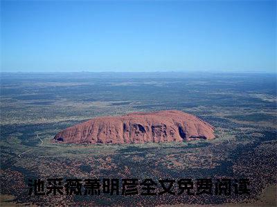 池采薇萧明彦（池采薇萧明彦）全文完整版免费阅读_（池采薇萧明彦小说免费阅读）最新章节列表