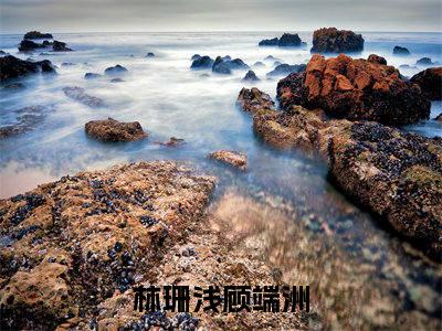 林珊浅顾端洲（林珊浅顾端洲）小说全文免费阅读无弹窗大结局_林珊浅顾端洲最新章节列表笔趣阁（林珊浅顾端洲）