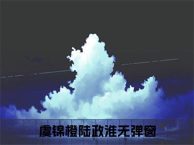 虞锦橙陆政淮小说（虞锦橙陆政淮）全文免费阅读无弹窗大结局_虞锦橙陆政淮最新章节列表_笔趣阁