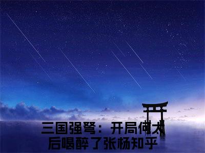 三国强弩：开局何太后喝醉了张杨最新章节在线阅读-小说全文阅读