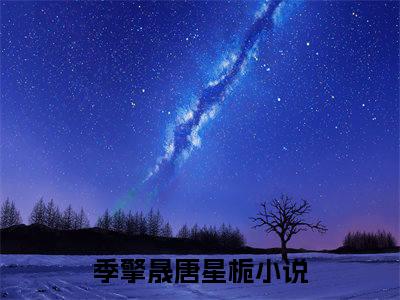 完结版季擎晟唐星栀小说在线阅读大结局-季擎晟唐星栀全文阅读已更新季擎晟唐星栀