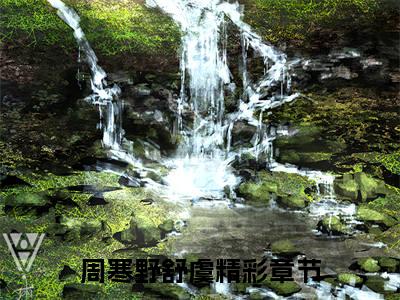 《周寒野舒虞》周寒野舒虞无弹窗阅读_周寒野舒虞最新章节列表_笔趣阁