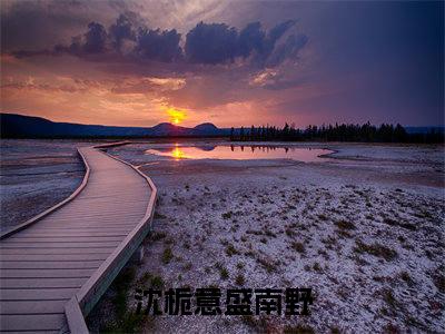 全网热搜（沈栀意盛南野）是什么小说，沈栀意盛南野免费阅读无弹窗