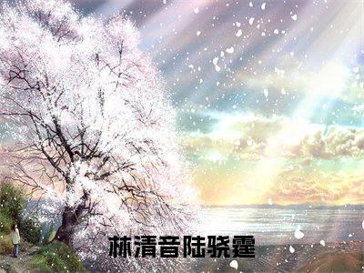 林清音陆骁霆的小说(林清音陆骁霆)最新章节全文免费阅读_笔趣阁