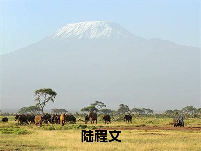 （舔狗反派只想苟，女主不按套路走）陆程文小说推荐阅读-主角为陆程文的小说叫什么舔狗反派只想苟，女主不按套路走