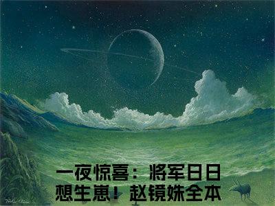 热度超高一夜惊喜：将军日日想生崽！赵镜姝小说-小说完整版全文资源阅读