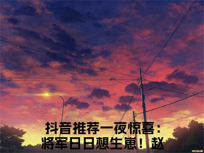 一夜惊喜：将军日日想生崽！赵镜姝完整章节阅读-一夜惊喜：将军日日想生崽！赵镜姝全文试读