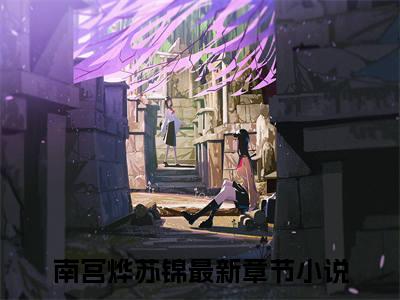 南宫烨苏锦完整版《南宫烨苏锦》全文阅读