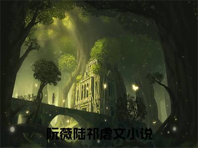 阮薇陆祁小说（阮薇陆祁）最新章节阅读-阮薇陆祁免费阅读无弹窗大结局