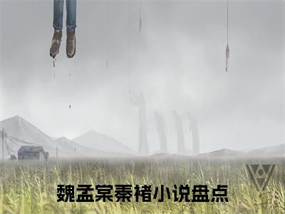 （魏孟棠秦褚）新书热荐免费小说-小说大结局