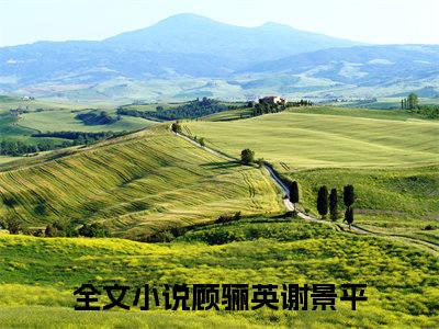 顾骊英谢景平(顾骊英谢景平)小说免费阅读无弹窗大结局_(顾骊英谢景平)顾骊英谢景平最新章节列表笔趣阁（顾骊英谢景平）