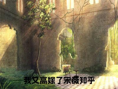 我又高嫁了宋薇小说(我又高嫁了宋薇)全文免费阅读无弹窗(小说全文免费阅读)我又高嫁了宋薇最新章节列表_笔趣阁