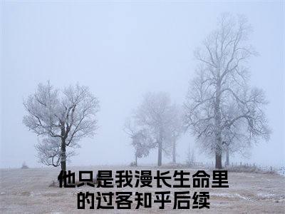 宋芷芸魏无昭书名是《他只是我漫长生命里的过客》在线赏析_他只是我漫长生命里的过客热门推荐阅读笔趣阁