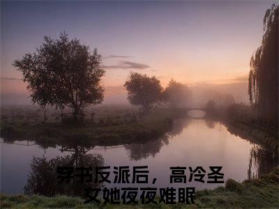 （穿书反派后，高冷圣女她夜夜难眠）是什么小说-叶羽全文免费阅读无弹窗大结局（穿书反派后，高冷圣女她夜夜难眠）最新章节列表