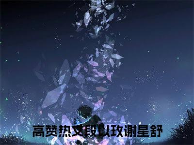 段以玫谢星舒完整版《段以玫谢星舒》全文阅读