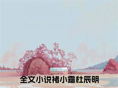 褚小霜杜辰明全文免费阅读无弹窗大结局-褚小霜杜辰明 全文全章节免费阅读