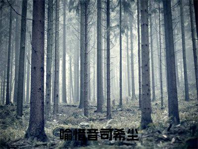 主角为喻惜音司希尘的小说叫什么-最新小说全文阅读