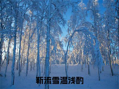 靳流雪温浅酌大结局无广告 热门小说靳流雪温浅酌全集免费阅读