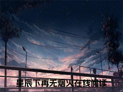 许烟向星辰（星辰下再无烟火）全文免费阅读无弹窗大结局_（星辰下再无烟火免费阅读全文大结局）最新章节列表