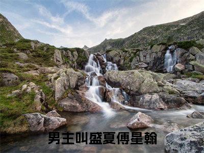 盛夏傅星翰小说（盛夏傅星翰）全文免费阅读结局-盛夏傅星翰强推全文阅读无弹窗