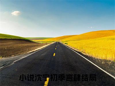 沈宁初季言肆小说全文免费阅读（沈宁初季言肆）全文免费阅读无弹窗大结局_(沈宁初季言肆)沈宁初季言肆小说免费阅读无弹窗最新章节列表_笔趣阁（沈宁初季言肆）