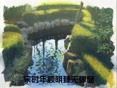 宋时年顾明臻小说免费(宋时年顾明臻)全文免费阅读无弹窗（宋时年顾明臻小说）最新章节列表_笔趣阁