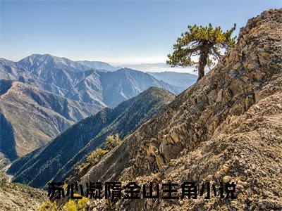 热门小说推荐苏心凝隋金山-苏心凝隋金山全文免费大结局