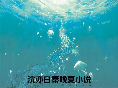 沈亦白秦晚夏（沈亦白秦晚夏）全文免费阅读大结局-沈亦白秦晚夏完整版无弹窗