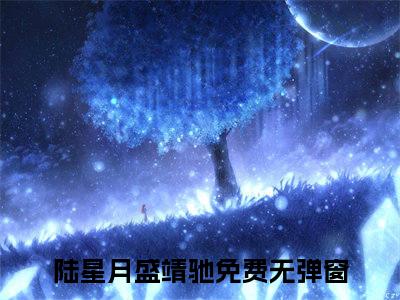 陆星月盛靖驰（陆星月盛靖驰）全文在线阅读无弹窗大结局_(陆星月盛靖驰免费阅读全文大结局)最新章节列表_笔趣阁（陆星月盛靖驰）