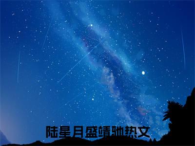 全网热搜（陆星月盛靖驰）是什么小说，陆星月盛靖驰免费阅读无弹窗