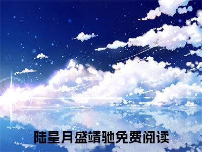 陆星月盛靖驰（陆星月盛靖驰）小说全文免费阅读无弹窗大结局_陆星月盛靖驰全文在线阅读无弹窗（陆星月盛靖驰）