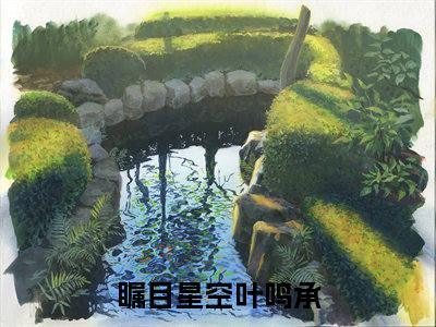 瞩目星空叶鸣承小说（瞩目星空叶鸣承）全文免费阅读结局-瞩目星空叶鸣承全文完结版阅读