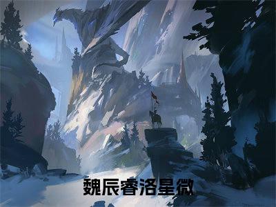 (热推新书)《魏辰睿洛星微》无弹窗大结局（魏辰睿洛星微）-抖音热推魏辰睿洛星微无弹窗阅读最新章节列表_笔趣阁