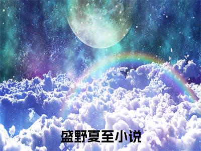 完结版盛野夏至小说在线阅读大结局-盛野夏至全文阅读已更新盛野夏至