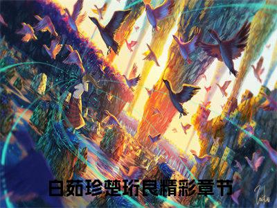 《白茹珍楚珩良》全文免费阅读最新章节大结局-白茹珍楚珩良 全文全章节免费阅读