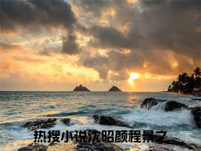 沈昭颜程景之小说在线阅读（沈昭颜程景之）全文免费阅读大结局_沈昭颜程景之最新章节列表笔趣阁