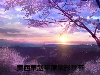 《黄西棠赵平津》小说好看吗-黄西棠赵平津最后结局如何《黄西棠赵平津》在线赏析全文