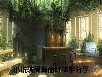 （完整版）热文破局算命叶飞宇小说阅读-破局算命叶飞宇全文抖音热推