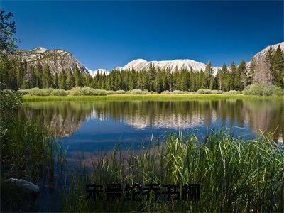 宋景纶乔书柳多人追免费无弹窗小说，宋景纶乔书柳已完结全集大结局