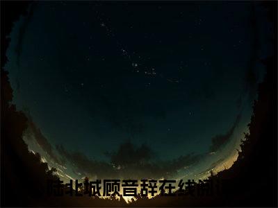 陆北城顾音辞（陆北城顾音辞）小说最新章节-陆北城顾音辞全文免费阅读无弹窗大结局