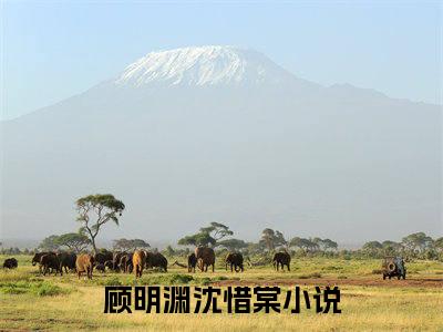 顾明渊沈惜棠(顾明渊沈惜棠)小说全文小说免费阅读_顾明渊沈惜棠最新章节列表笔趣阁