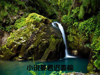 晏君迟姜榆（晏君迟姜榆）全文免费阅读-（晏君迟姜榆无弹窗阅读）最新章节小说免费阅读