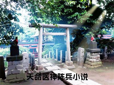 天命医神陈兵（天命医神陈兵）全文免费阅读无弹窗大结局_天命医神陈兵最新章节列表_笔趣阁