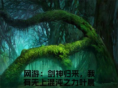 网游：剑神归来，我有无上混沌之力叶晨（网游：剑神归来，我有无上混沌之力叶晨）全文免费阅读无弹窗大结局_网游：剑神归来，我有无上混沌之力叶晨最新章节列表_笔趣阁