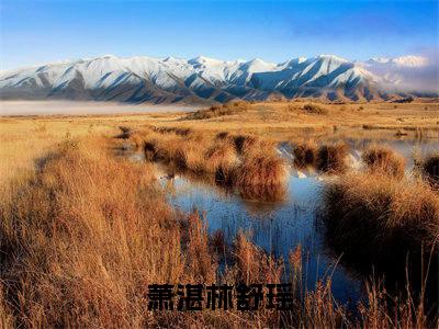 萧湛林舒瑶小说(萧湛林舒瑶)全文免费阅读无弹窗大结局 萧湛林舒瑶小说全文无删减版