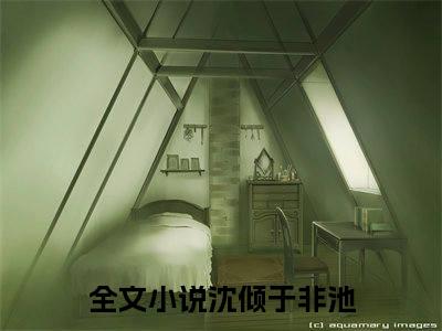 沈倾于非池最新热点小说-沈倾于非池免费观看完结版